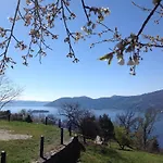 Il Ciliegio Selvatico