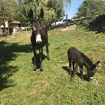 Il Ciliegio Selvatico Daire