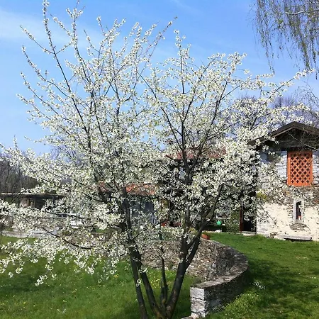 アパート Il Ciliegio Selvatico ヴェルバーニア