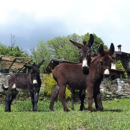 アパート Il Ciliegio Selvatico *