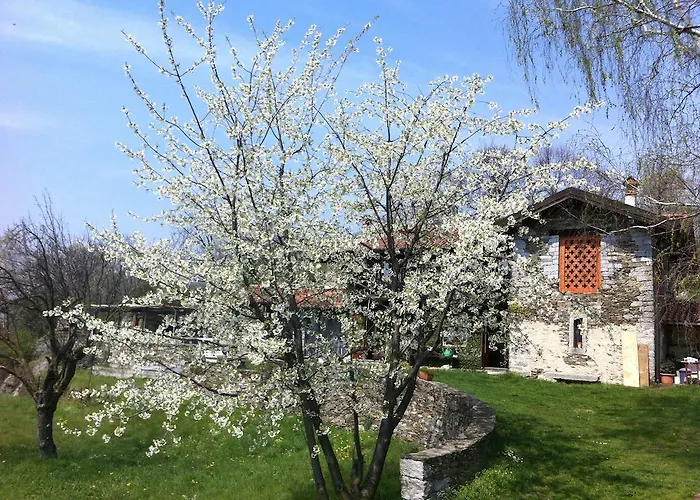 Appartamento Il Ciliegio Selvatico Verbania