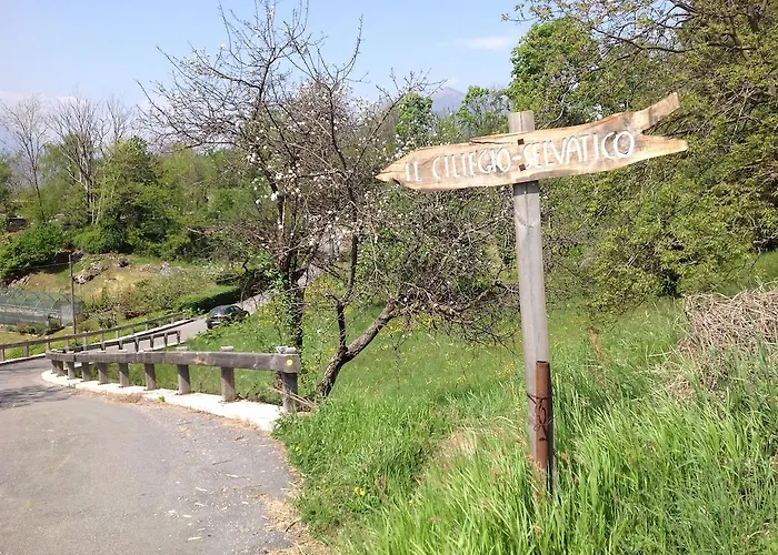 Διαμέρισμα Il Ciliegio Selvatico