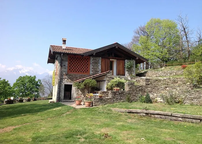 Il Ciliegio Selvatico * Βερμπάνια