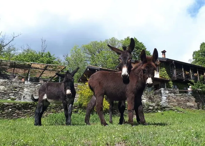 דירה Il Ciliegio Selvatico *